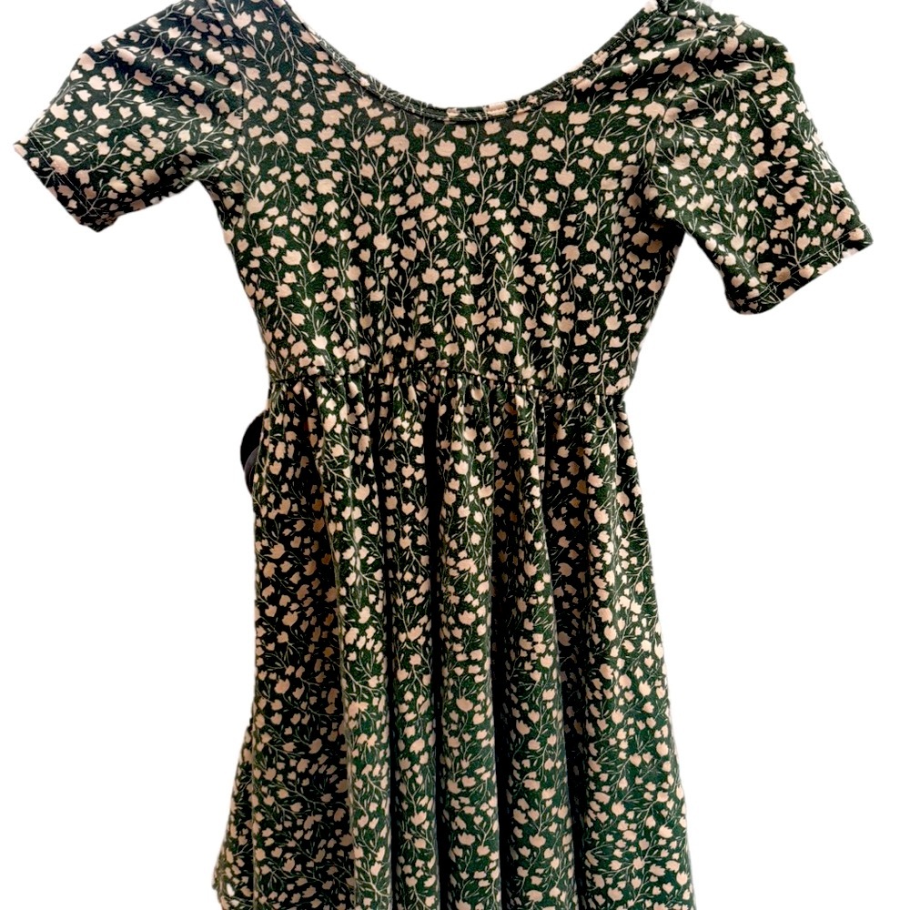 Alice and Ames Green/Cream Flowers Kids Dress